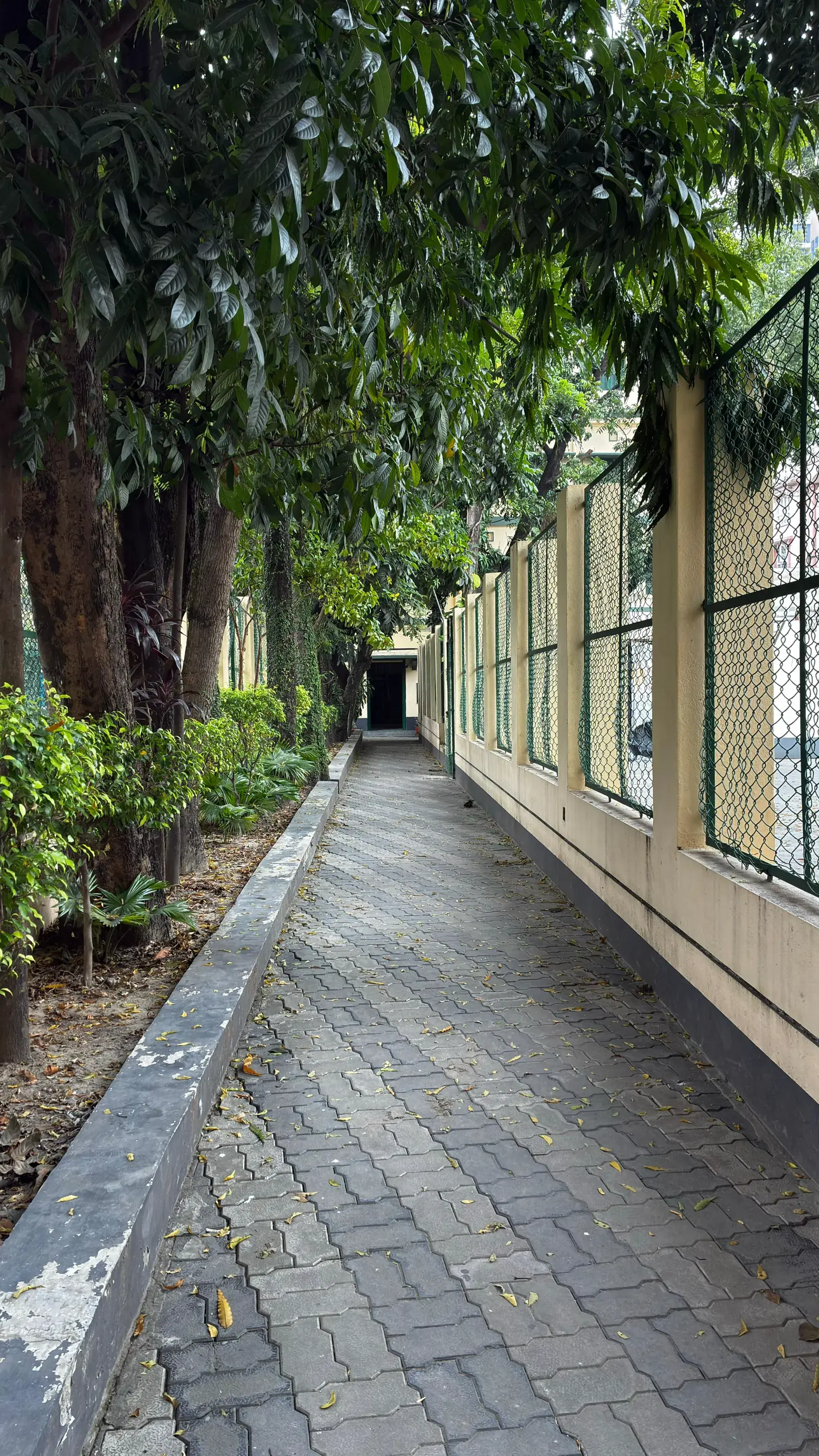 ST Xavier's Kolkata campus photo 7